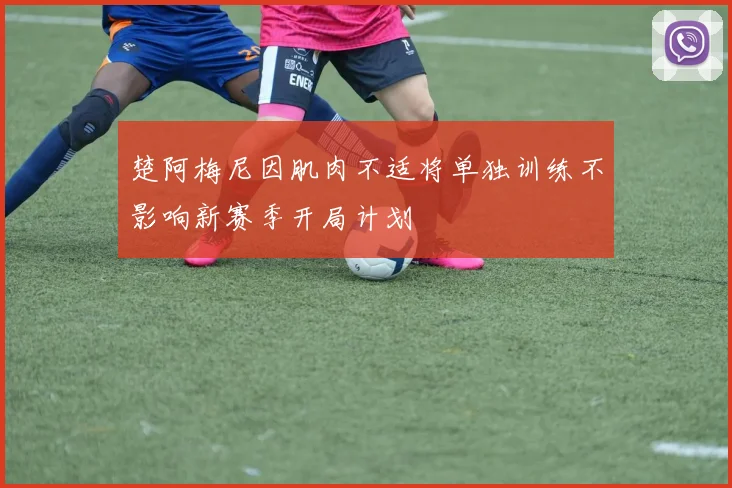 楚阿梅尼因肌肉不适将单独训练不影响新赛季开局计划